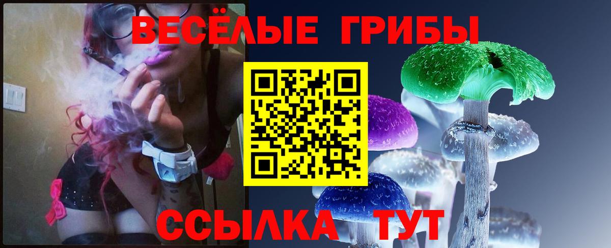 Ковров  Псилоцибиновые грибы Cubensis  Вход с VPN 